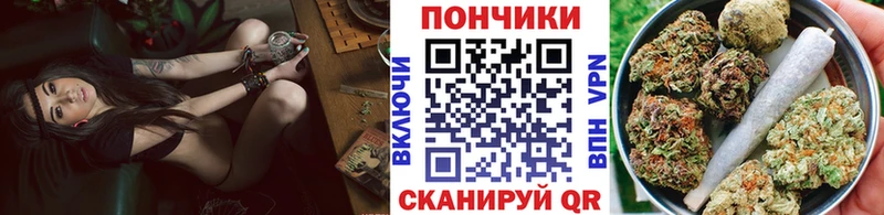 Где найти наркотики Пятигорск Cocaine  Псилоцибиновые грибы  АМФЕТАМИН  Бошки Шишки  Вейп ТГК  ГАШИШ 