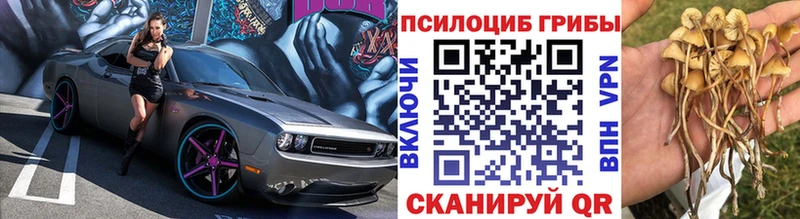 Псилоцибиновые грибы мицелий Пятигорск